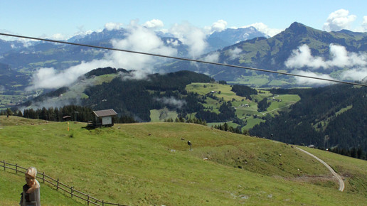 phyto-pta2 2016 stadavita