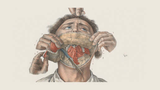 victorian kiefer 02 wellcomecollection