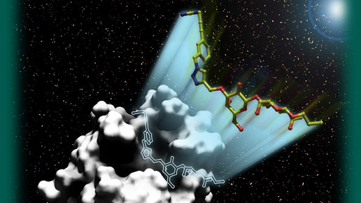zuckermolekuel tumor identifizieren AK Seibel VCH-Wiley