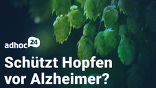 adhoc24 vom 21.11.2022