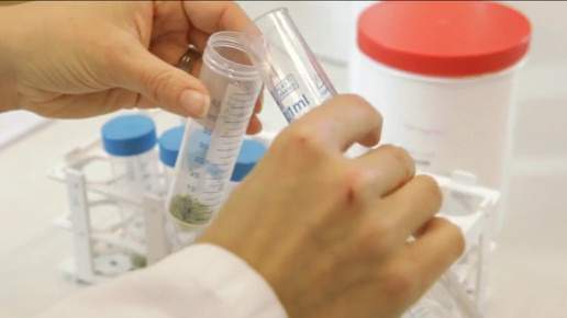 Cannabis OMK5-screenshot