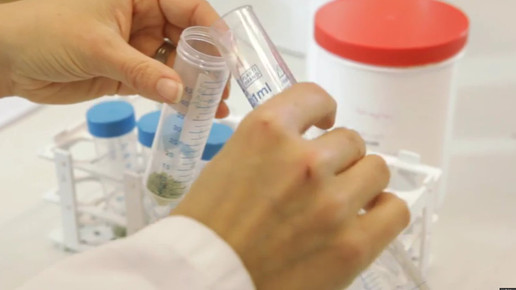 Cannabis OMK5-screenshot