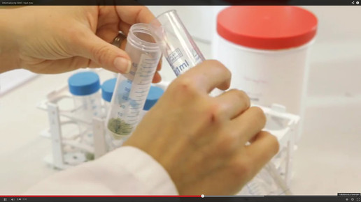 Cannabis OMK5-screenshot