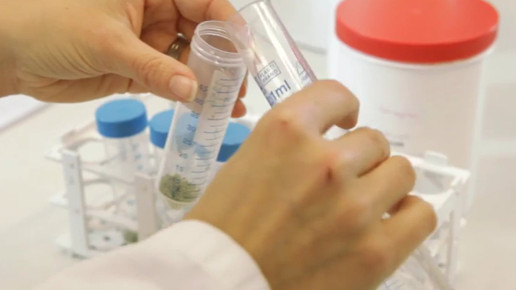 Cannabis OMK5-screenshot