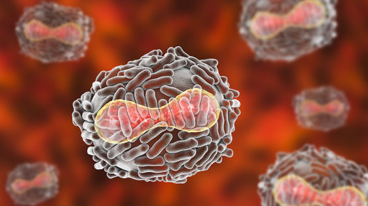 Tecovirimat – neuer Wirkstoff gegen Pocken