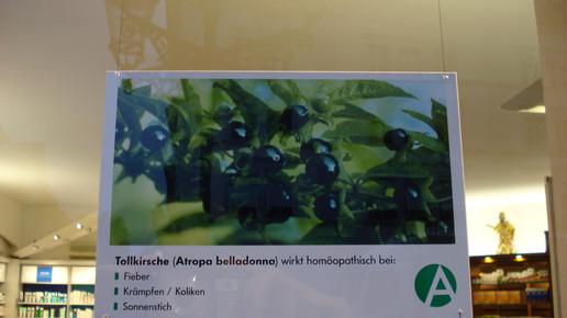 tollkirsche rathaus-apo