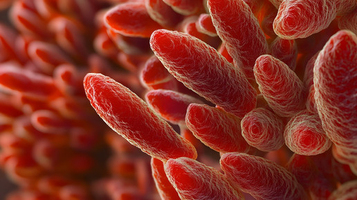 Mycoplasma Pneumonie: Welche Antibiotika helfen?