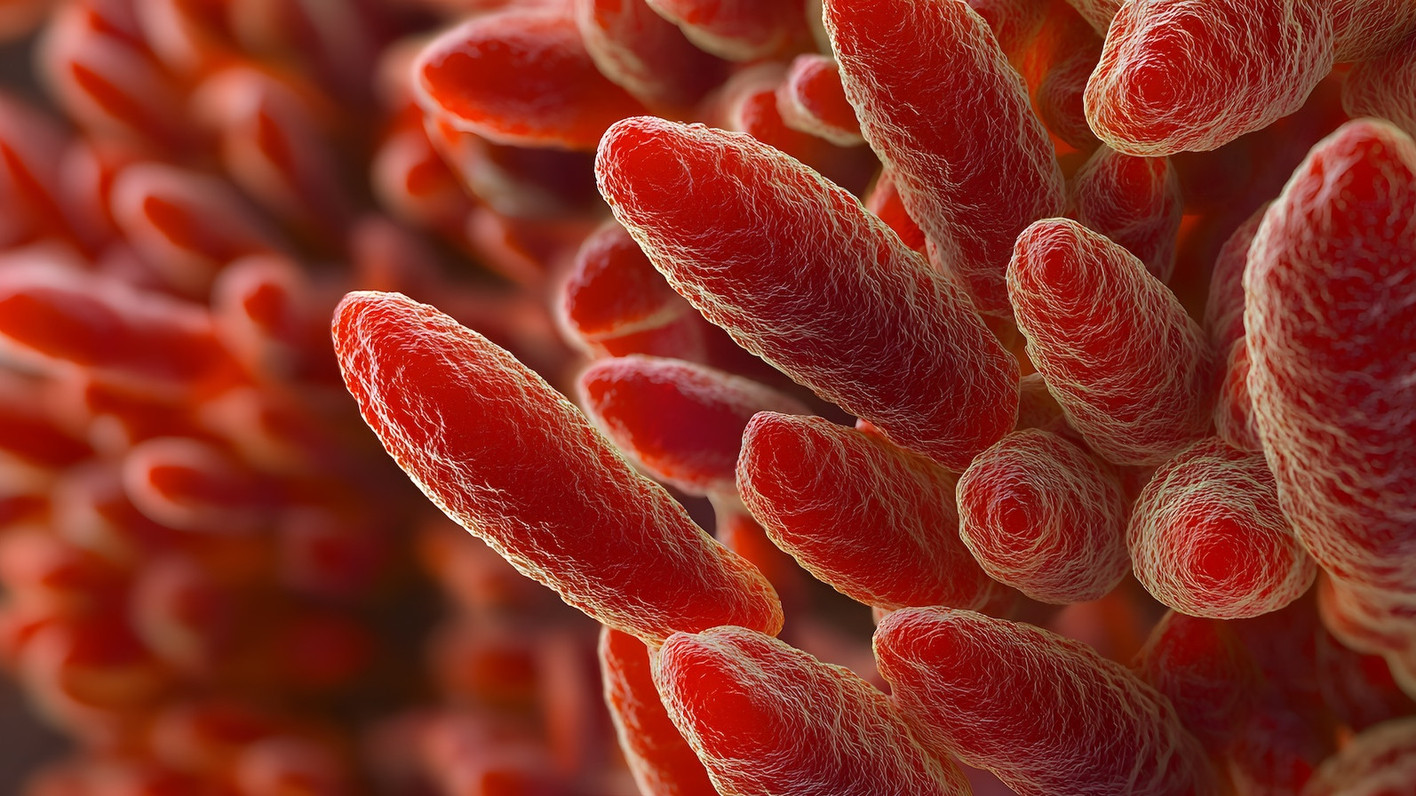 Mykoplasmen-pneumonie Wie Lange Ansteckend Nach Antibiotika www.apotheke-adhoc.de