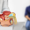 Prostata beim Arzt