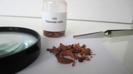 Rataniae radix 2 aa