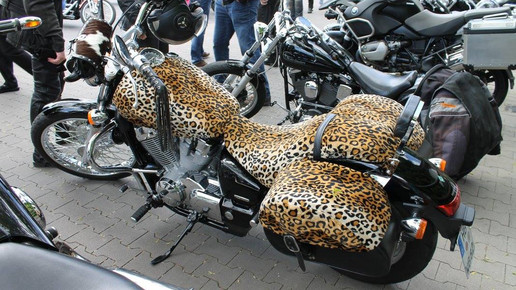 biker-treff hude9 flores-apo