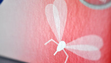 Welches Präparat ist das?