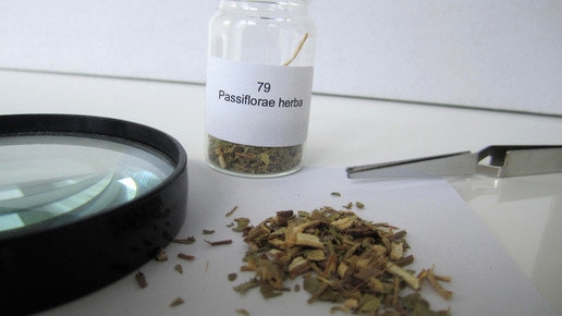 Passiflorae herba 2 aa