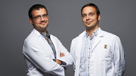 apotheke peer brixen brueder apo peer