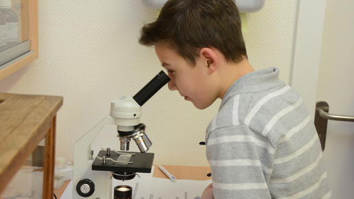 schulbesuch2 loewen apotheke luckenwalde loewen apo