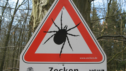 zeckenschild m.prinke neu