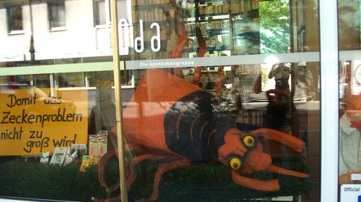 zecke graeve luetticke