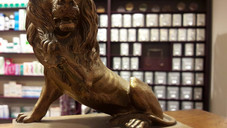 Auf Schatzsuche in historischer Apotheke