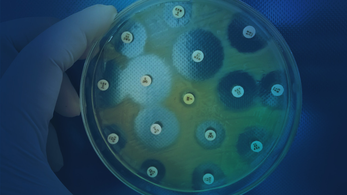 Sonderregel-f-r-DocMorris-Phoenix-Kein-Wiederaufbau-Widerrufsrecht-bei-Versendern-Antibiotika