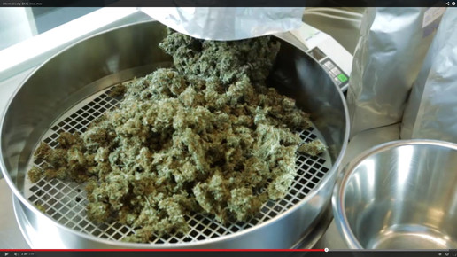 Cannabis OMK10-screenshot