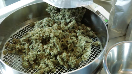 Cannabis OMK10-screenshot