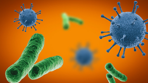 Antibiotikaresistenzen nehmen zu - neue Therapieoptionen sind daher gefragt. Auch der Einsatz evidenzbasierter Phytotherapie ist eine gute Option, um der Resistenzentwicklung effektiv entgegenzuwirken und den Antibiotika-Verbrauch zu reduzieren.