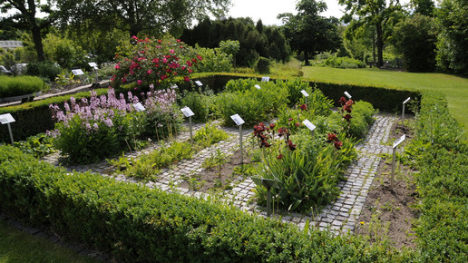 apothekergarten wiesbaden3 freundeskreis apothekergarten