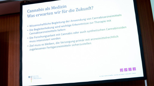 cannabis-pk2 bfarm domma