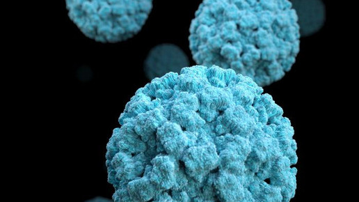 Magen-Darm-Infekte: Schule geschlossen