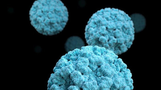 Norovirus-Infektionen: Wieder auf Normalniveau