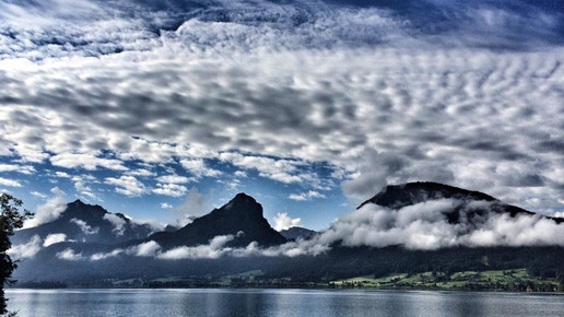 wellan kunst 02 wellan