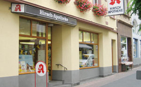 56841 hirsch aussen 1