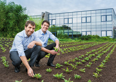 Hevert Gregor Schuster N-C2429 Anschnitt RGB