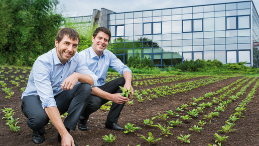 Hevert Gregor Schuster N-C2429 Anschnitt RGB