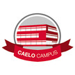 Neue Termine für unsere beliebten Caelo Campus-Webinare!