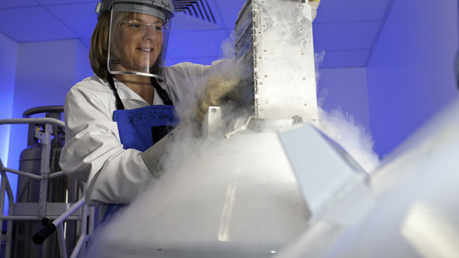 inserm alzheimer 47939 inserm