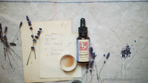 loewen-apo loewenschlaf dietlind wolf