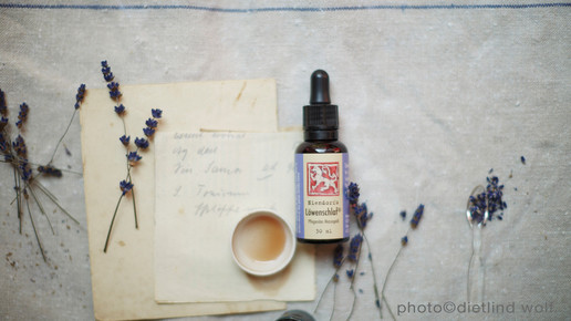 loewen-apo loewenschlaf dietlind wolf