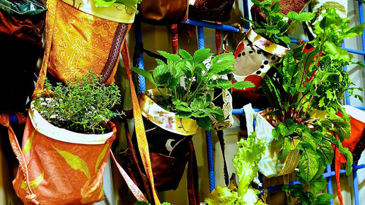 17332426402 2a296bb43c o 1