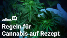 adhoc24 vom 16.03.2023