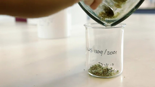 Cannabis OMK6-screenshot