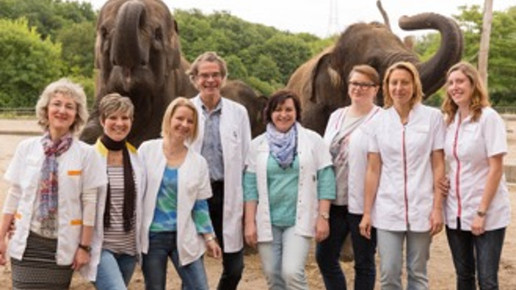 Jumboapo1 ausflug jumbo apotheke