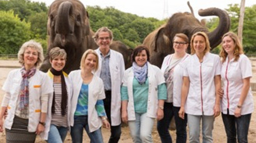 Jumboapo1 ausflug jumbo apotheke