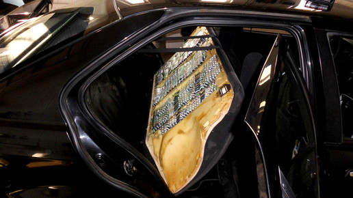 pangea ix 1 interpol