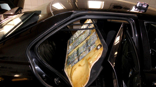 pangea ix 1 interpol