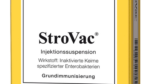 Ampullenbruch: Rückruf bei Strovac