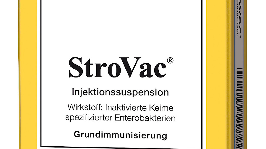 Booster strovac ist was Booster