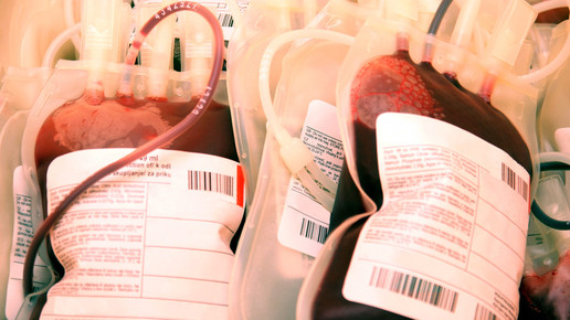 Blutspende: Typisierungsprogramm soll Suche erleichtern