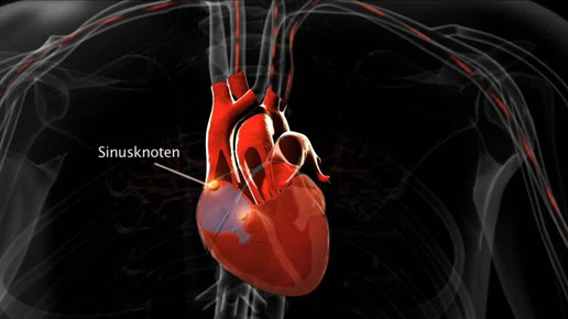 160712 boehringer spot scs