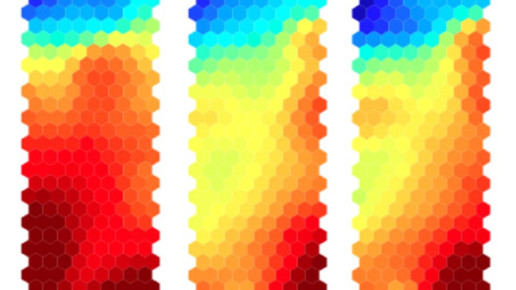 Hyposensibilisierung gegen MS